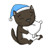 Cat cat breed Havana