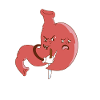 Gastric sleeve gastrectomy Sleeve gastrectomy