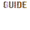 Guide