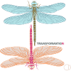 Libellules et transformation par CD