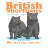 British Shorthair Cats Gift
