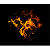 Feu Flamme Feuerflamme