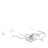 Tangled