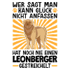 Leonberger streicheln deutscher Wachhund