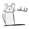Cat confused cute animal