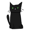 dunkle Katze Tier süß