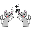 Cats argue angry angry cat