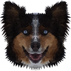 Polygon Dog