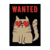 -wanted- (gray cat)