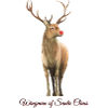 Wingman of Santa