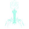 Microbiology Virus