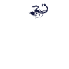 Scorpio Heartbeat