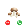 appel des champignons