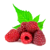 Raspberry. Raspberry