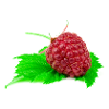 Raspberry. Raspberry