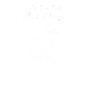 Cat Crazy - Cat Lovers Gift Idea