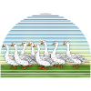 Geese