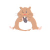 Funny Hamster Gift