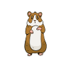 I love my hamster