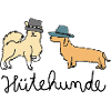 Hütehunde