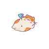 Funny Hamster Gift