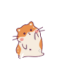 Ce garçon aime son hamster
