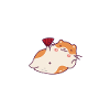 Funny Hamster Gift