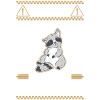 Warning Raccoon Raccoon
