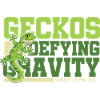 Geckos Defying Gravity