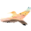 Hummingbird
