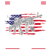 Weapon Firearm