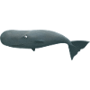 The funny sperm whale