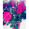 Sab Design Roses