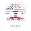American Hungarian Roots Tree