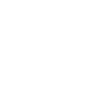 Chat sur skateboard