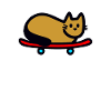 Cat on skateboard