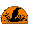 Raven in sunset