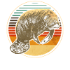 Manatee