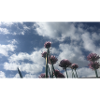 29462AA1 37D6 4995 B738 BE2E2152D5E7