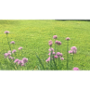 F8377DE8 6BF7 40E6 9C38 EA0AEDBF0DF7