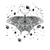 Himmlischer Schmetterling Nachthimmel Linienkunst