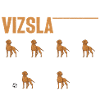 Persistent Vizsla Tricks Hungarian Vizsla