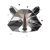 Raccoon Polygon Kunst Tier Geometrie