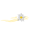 Berglandschaft mit einem Edelweiss