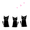 Amis trois chats animaux animal