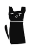 Cat confused cute animal