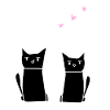 Amis Ami Amitié Chats Chat