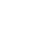Flying Bear Animal Symbol Rescuer
