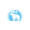 Riding - Warmblood Horse