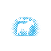 Équitation - Cheval andalou